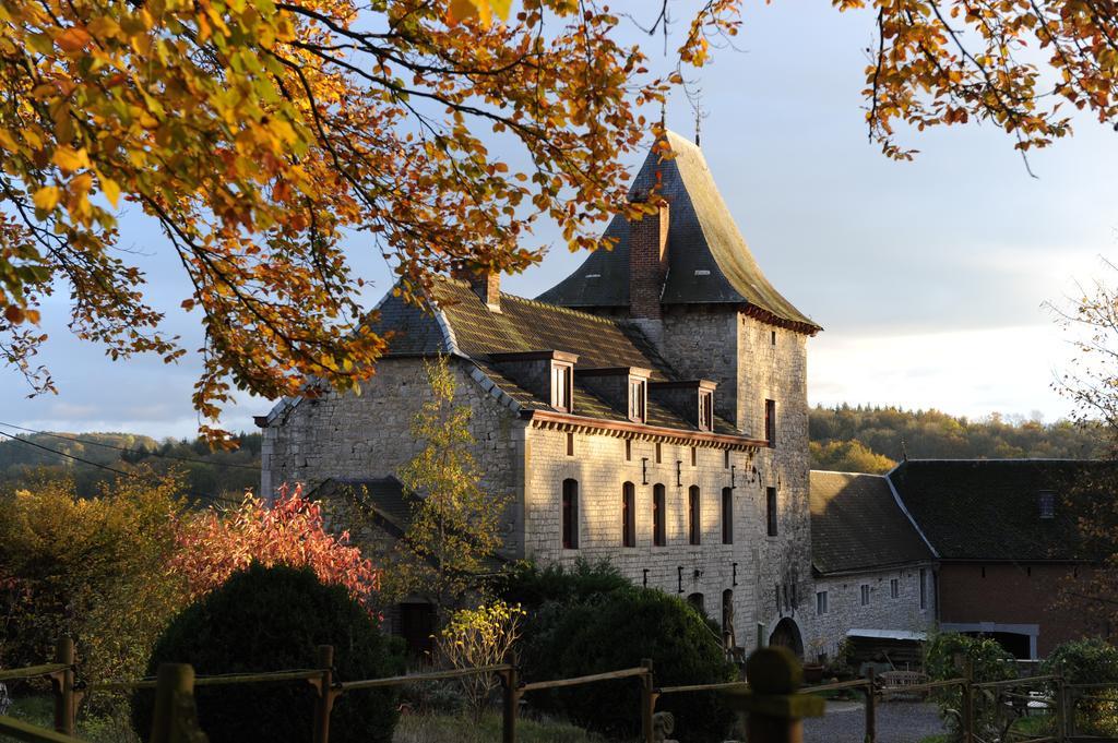 B&B Le Manoir D'Ange Ferrières Buitenkant foto